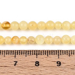 Нити бусин из натурального желтого янтаря G-N351-04A-01
