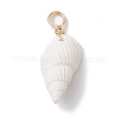 Кулоны из натуральных ракушек&nbsp;PALLOY-JF02682-01