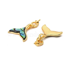 Подвески из натурального панциря пауа в форме хвоста кита KK-G538-37G