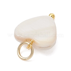 Подвески из натуральных пресноводных ракушек&nbsp;PALLOY-JF05016