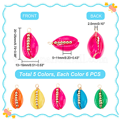 30 шт. подвески из натуральной ракушки каури SSHEL-GA0001-15