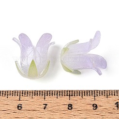 Термоусадочные акриловые колпачки&nbsp;OACR-N155-04C