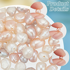 75 шт. 5 вида бусин из натурального культивированного пресноводного жемчуга PEAR-WR0001-04