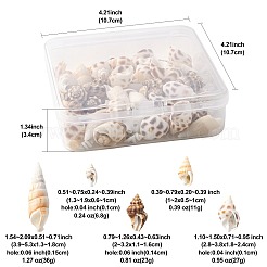 103.8 г подвески из натуральной спиральной ракушки в двух стилях SSHEL-FS0001-08