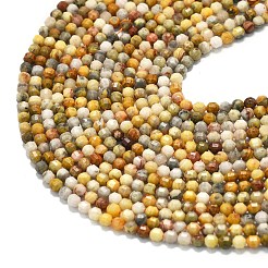 Натуральные сумасшедшие кружевные агатовые бусины G-A260-A11-01