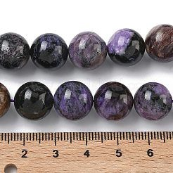 Naturperlen Stränge charoite&nbsp;G-C270-O03-12