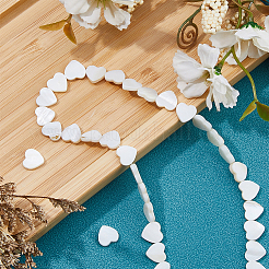 3 нить бусин из натуральных пресноводных ракушек&nbsp;SHEL-HS0001-12