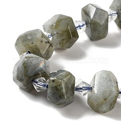 Perline labradorite naturale fili&nbsp;G-E578-03