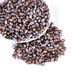 Спрей роспись стекла бисер&nbsp;SEED-T007-14C