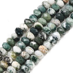 Натурального дерева агат бисер нитей&nbsp;G-C259-A34-5x8mm