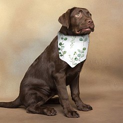 2 pañuelo de poliéster para perros de 2 estilos&nbsp;AJEW-WH0456-005