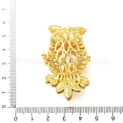 Grands pendentifs en cage de laiton&nbsp;KK-CBA8ACD-06G
