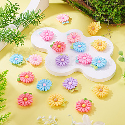 20pcs cabochons en résine opaque&nbsp;RESI-TADJ0001-08E