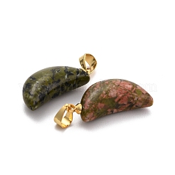 天然石ユナカイトペンダント  ゴールド真鍮丸カン付き  ムーン  23.5x11x6.4mm  穴：3.7x5mm&nbsp;G-B020-03G