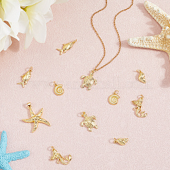 12шт 6 латунные подвески&nbsp;KK-BBC0019-36