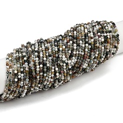 Природные моховой агат бисер нитей&nbsp;LS-G-RM2025-A33-3mm