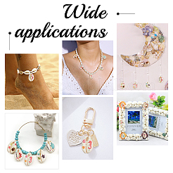 60шт 6 вида печатных натуральных бусин из ракушек каури SHEL-PH0001-43