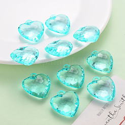 Прозрачные акриловые подвески TACR-T024-03B-946