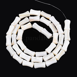 Нити бусин из натуральных пресноводных ракушек SHEL-N038-02