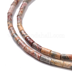Leopardate naturale filoni tonda&nbsp;G-M389-02