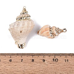 Pendentifs en coquillage naturel plaqués électrolytique&nbsp;SSHEL-Q100-25KCG
