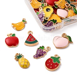 40шт 10 стиля подвески из сплава с эмалью&nbsp;ENAM-FP0002-06