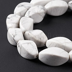 Fili di perline howlite naturale&nbsp;G-L243A-21