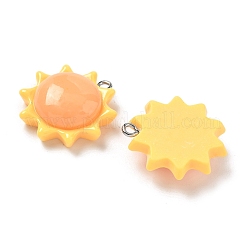 Подвески из непрозрачной смолы&nbsp;LS-RESI-I339-01P-01