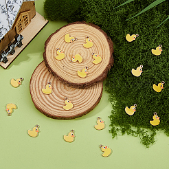 60 шт. Подвески из сплава с эмалью&nbsp;ENAM-DC0002-15