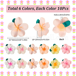 60шт 6 цвета бусины из полимерной глины ручной работы CLAY-SC0002-17