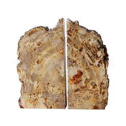Подставки для книг из натурального окаменелого дерева&nbsp;AJEW-H157-12