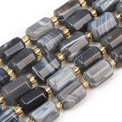 Природные Ботсвана агат бисер нитей&nbsp;G-P611-A01-01