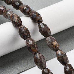 Бусины из натурального глаукофана G-P520-C24-01