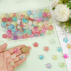 180шт 6 цвета акриловые колпачки для бусин&nbsp;OACR-PA0001-15