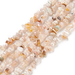 Fili di perle di agata naturale con fiori di ciliegio, 2.5~6x4.5~10.5mm, Foro: 0.8~1 mm, circa 33.86 pollice (86 cm)