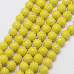 Fossil Beads, Dyed, Round, Yellow, 10mm, Hole: 0.8mm, about 40pcs/strand, 16 inch