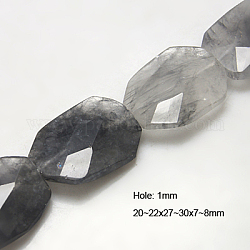 Natural Cloudy Quartz Beads Strands, Faceted, Twist, Polygon, Gray, 27~30mmx20~22mmx7~8mm, Hole: 1mm, about 20pcs/strand, 15.5inch