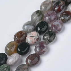 Natural Indian Agate Beads Strands, Oval, 8x6x3.5~4mm, Hole: 1mm, about 45~52pcs/strand, 15.16~15.74 inch(38.5~40cm)