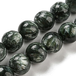Natural Seraphinite Beads Strands, Round, Grade AB, 9.5~10mm, Hole: 1mm, about 38pcs/strand, 15.43 inch(39.2cm).