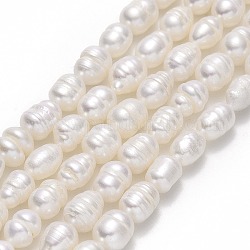 Natural Cultured Freshwater Pearl Beads Strands, Rice, Linen, 7~10x5.5~6mm, Hole: 0.7mm, about 42~45pcs/strand, 13.39''(34cm)
