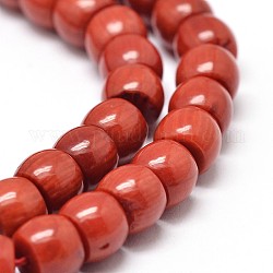 Natural Coral Drum Beads Strands, Dyed, Brown, 8x6mm, Hole: 1mm, about 69pcs/strand, 16.3inch