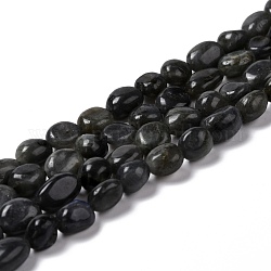 Brins de perles de larvikite naturelles, pierre roulée, pépites, 7.5~9x7.5~8x3.5~6mm, Trou: 1mm, Environ 44 pcs/chapelet, 15.16~15.75 pouce (38.5~40 cm)