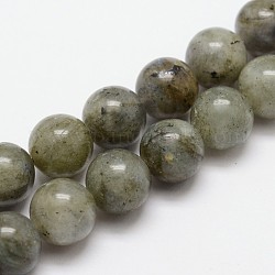 Chapelets de perles en labradorite naturelle, ronde, 8mm, Trou: 1mm, Environ 24 pcs/chapelet, 7.7 pouce
