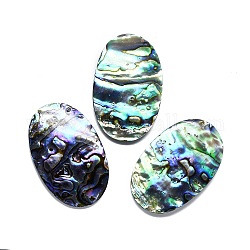 Cabochon di conchiglia abalone naturale / paua shell, ovale, colorato, 54x34x4~7mm