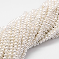 Shell fili di perle perline, grado a, tondo, bianco, 4mm, Foro: 1 mm, circa 95pcs/filo, 16 pollice
