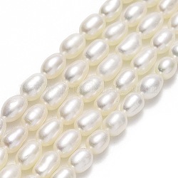 Fili di perle di perle d'acqua dolce coltivate naturali, riso, biancheria, 5.5~6x4~4.5mm, Foro: 0.6 mm, circa 56~66pcs/filo, 14.96'' (38 cm)