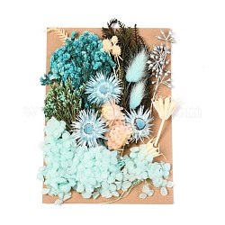 Сушеный цветок, для свадебного душа, свадьба, консервированный свежий цветок, голубой, 210x148x14~24.5 мм