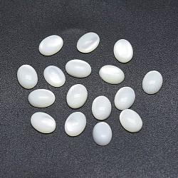 Cabochons en coquille, ovale, 19.5~20x14.5~15x2mm