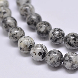 Fili di perle di diaspro / kiwi di sesamo naturale, tondo, grigio, 8mm, Foro: 1 mm, circa 47pcs/filo, 15.5 pollice