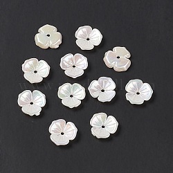 Undurchsichtige Perlenkappe aus Acryl, AB Farbe, 3-Blütenblatt Blüte, weiß, 11x2 mm, Bohrung: 1.4 mm